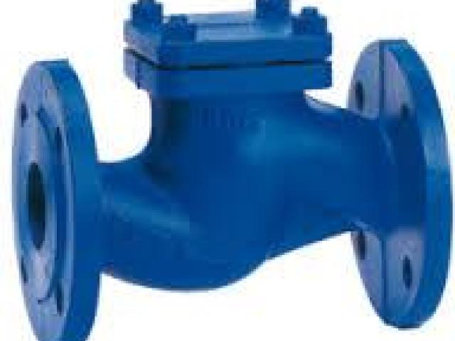 CHECK VALVES SUPPLIERS IN KOLKATA